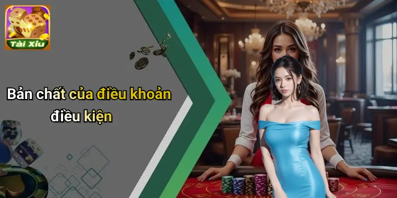 Điều Khoản Điều Kiện