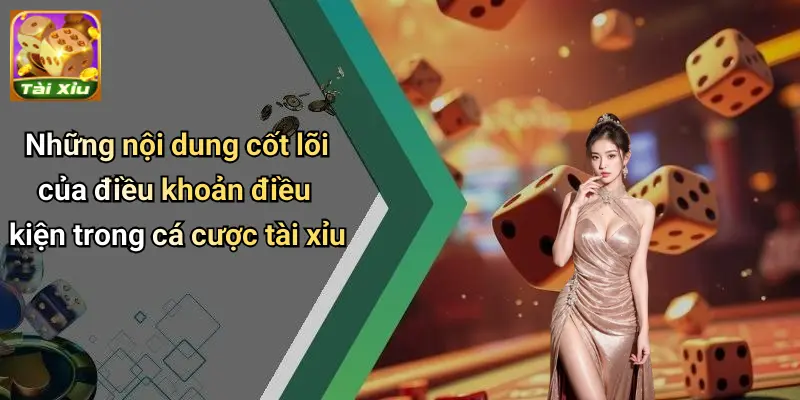 Điều Khoản Điều Kiện