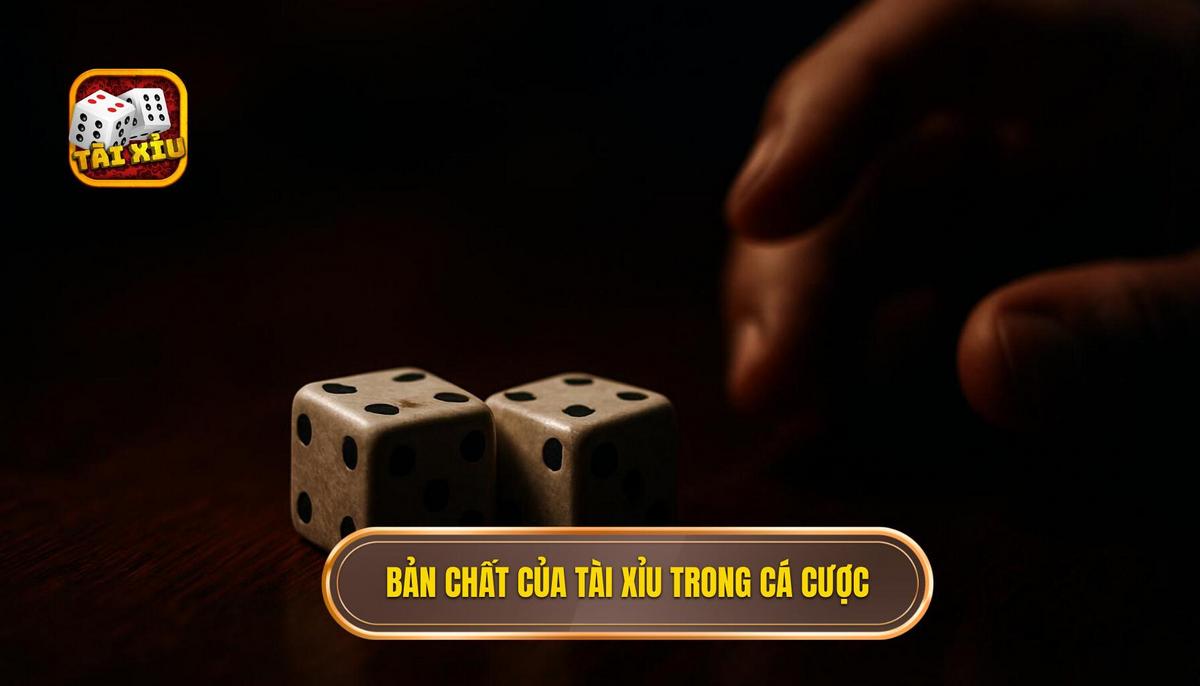Bản chất thực sự của tài xỉu hòa trong cá cược hiện đại