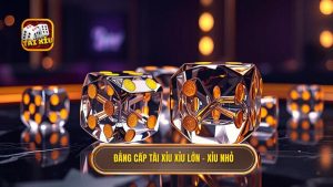 Tài xỉu xỉu lớn – xỉu nhỏ: Nghệ thuật đọc vị bảng kèo từ chuyên gia