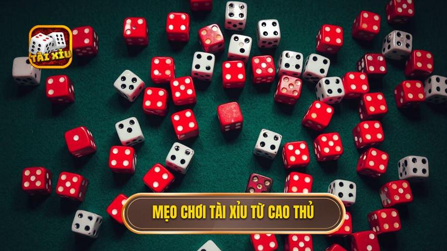 Mẹo chơi tài xỉu từ cao thủ
