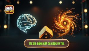 Chơi tài xỉu nên dùng logic hay cảm tính