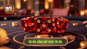 Những kiểu cược tài xỉu phổ biến: Cẩm nang toàn tập cho người mới
