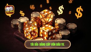Bao nhiêu vốn là hợp lý để chơi tài xỉu? Cẩm nang quản lý tài chính từ chuyên gia